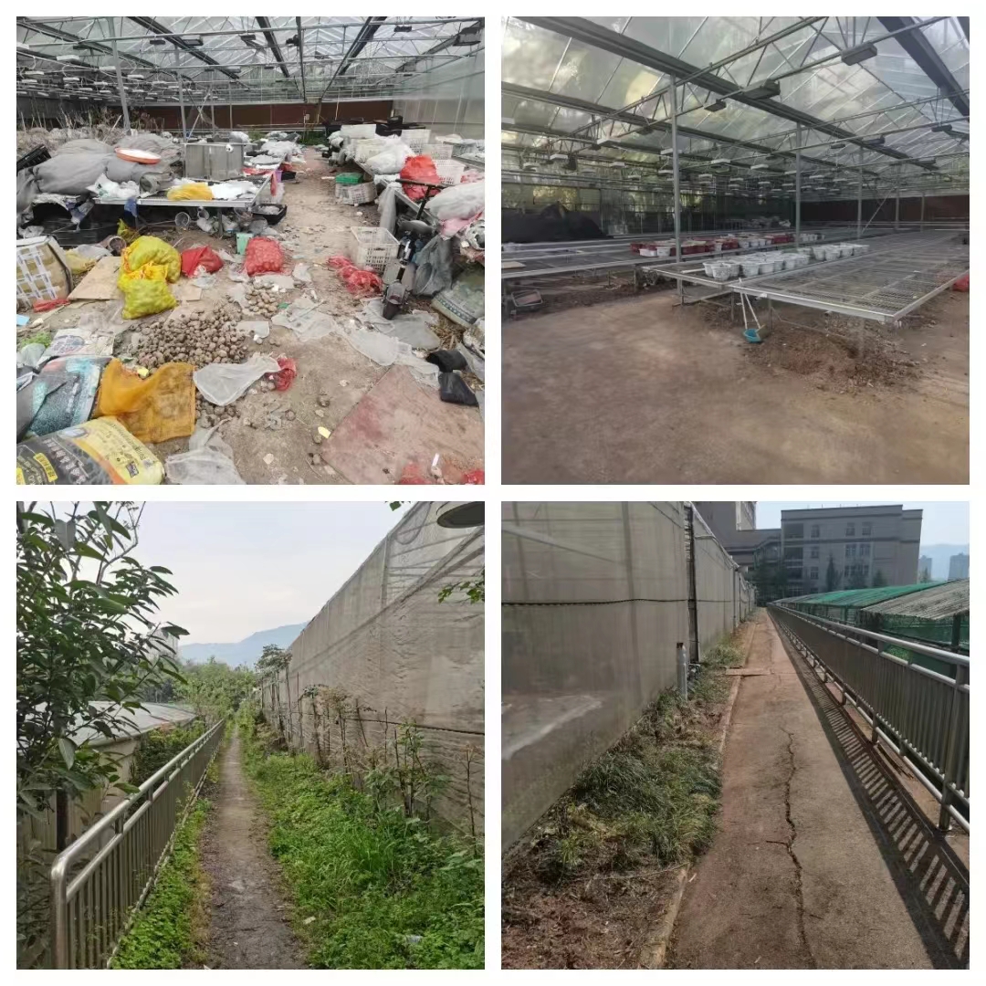 6a3e7160ef2f44f055ecfb762a03e59